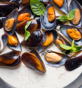 Mussels in a wine and cream sauce